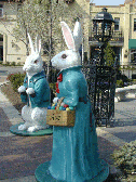 plaza_bunnies