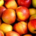 Enjoy All Things Apple at Weston Applefest