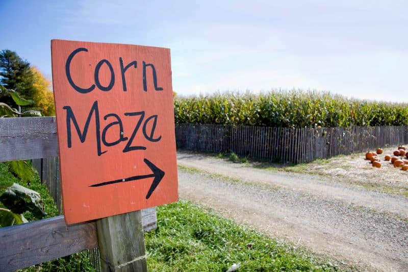 Kansas City corn mazes - sign pointing to corn maze field