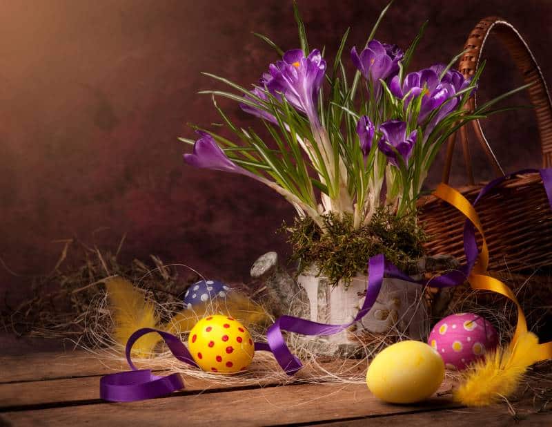 Easter basket with spring flowers and Easter eggs