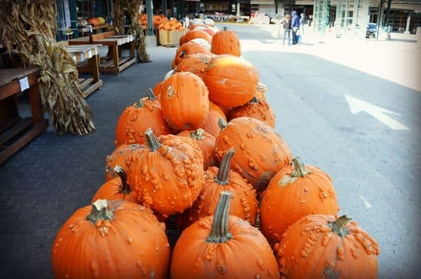 Kansas City u-pick farms - pile of pumpkins