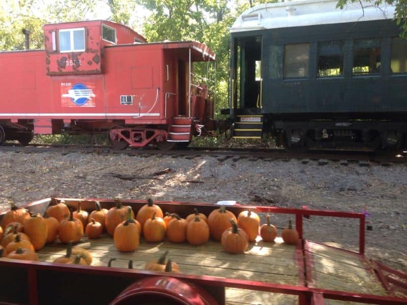 Belton Halloween Train - pumpkins sitting outside an old-fashioned caboose