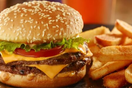 Red Robin Veterans Day Deal - double tavern burger and fries