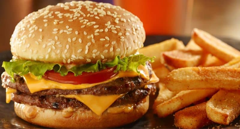 Red Robin Veterans Day Deal - double tavern burger and fries