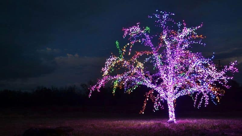 Holiday light displays in Kansas City - The Magic Tree in Lee's Summit