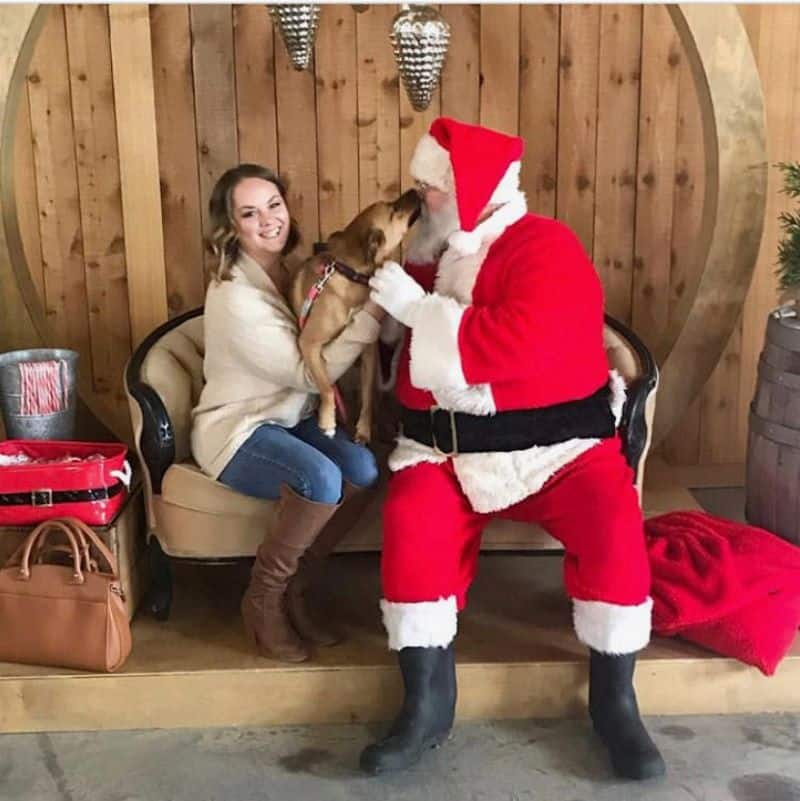 Pet photos in Kansas City - woman holding a dog with Santa Claus