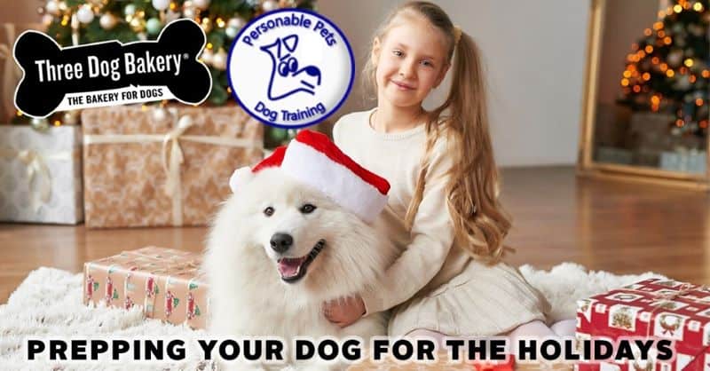 Free Dog Training in Kansas City - Dog with Santa hit sitting with young girl