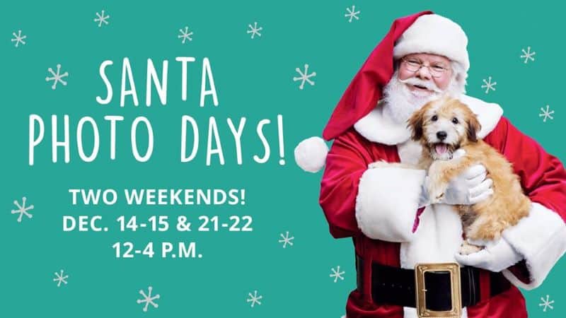 Photos with Santa in Kansas City - Santa holding a puppy