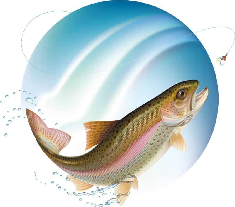 Free fishing days in Kansas and Missouri - image of a bass fish