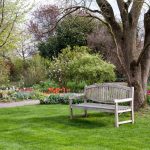 Essential Gardens to Visit This Summer in Kansas City