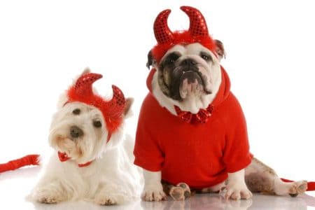 Dog friendly Halloween events in Kansas City