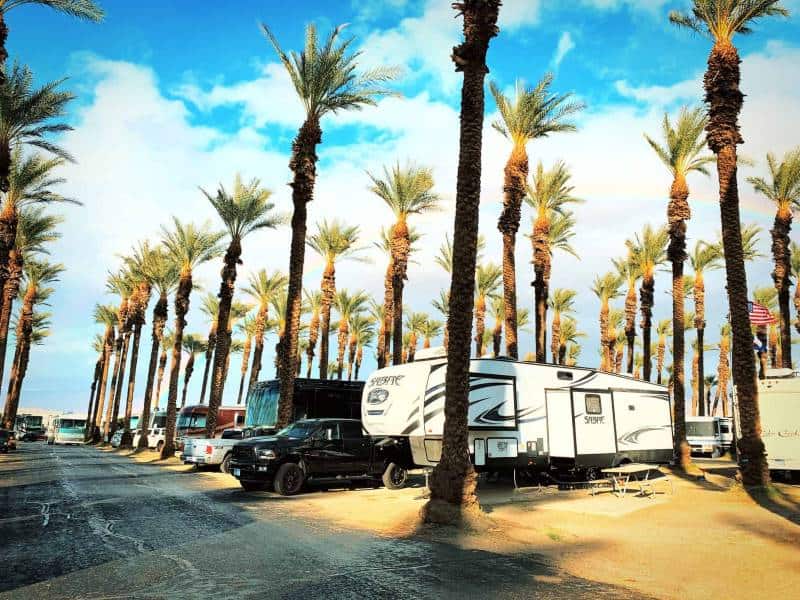 RV parked among palm trees