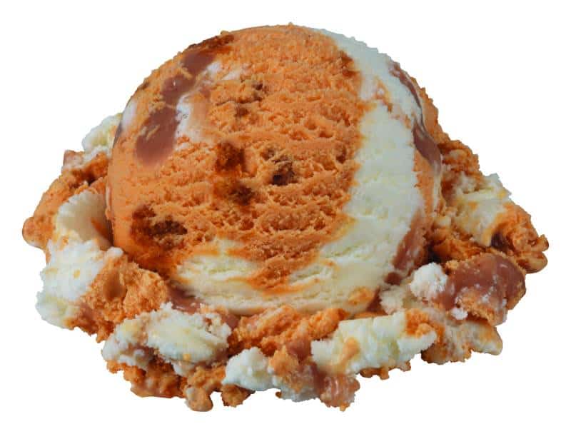 Baskin Robbins pumpkin cheesecake ice cream