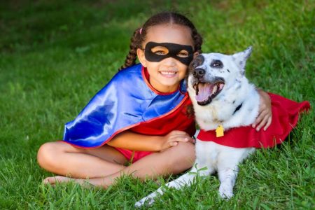 Dog in Halloween costume in Kansas City