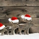 ‘Tis the Season with JOCO Parks and Recreation Holiday Programs